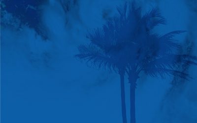 HURRICANE UPDATES 2017