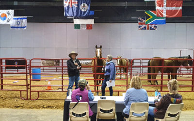 Equine Assisted Therapy Conference