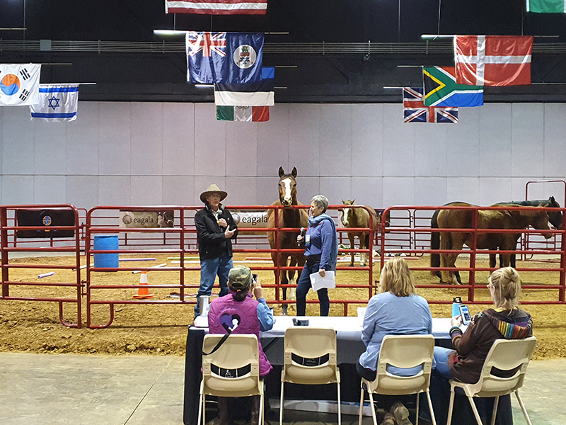Equine Assisted Therapy Conference