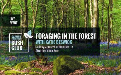 Foraging in the Forest with Katie Beswick