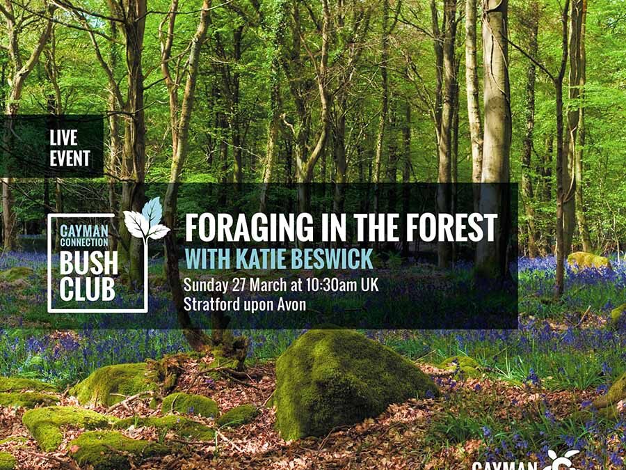 Foraging in the Forest with Katie Beswick