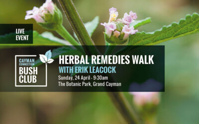 Herbal Remedies Walk