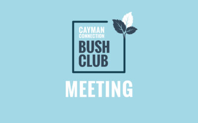 Bush Club June 2022