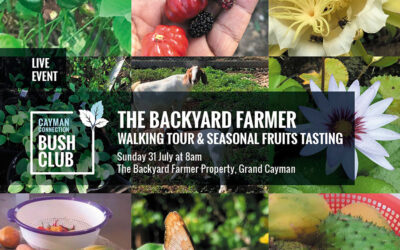 The Backyard Farmer Property Tour