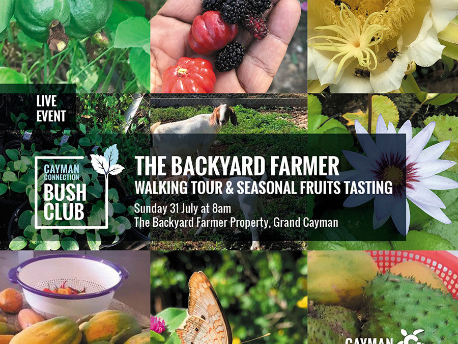 The Backyard Farmer Property Tour