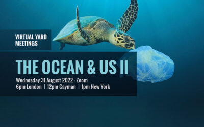 Ocean and Us II