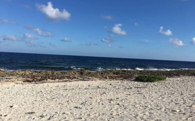 Cayman Brac Poetry Retreat: April 2023