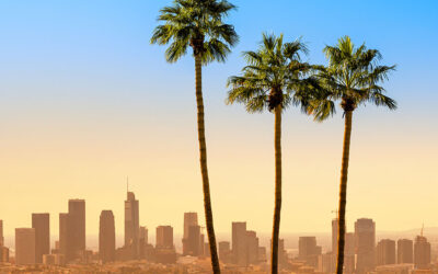 Hollywood Bound! LAX Reservations Open