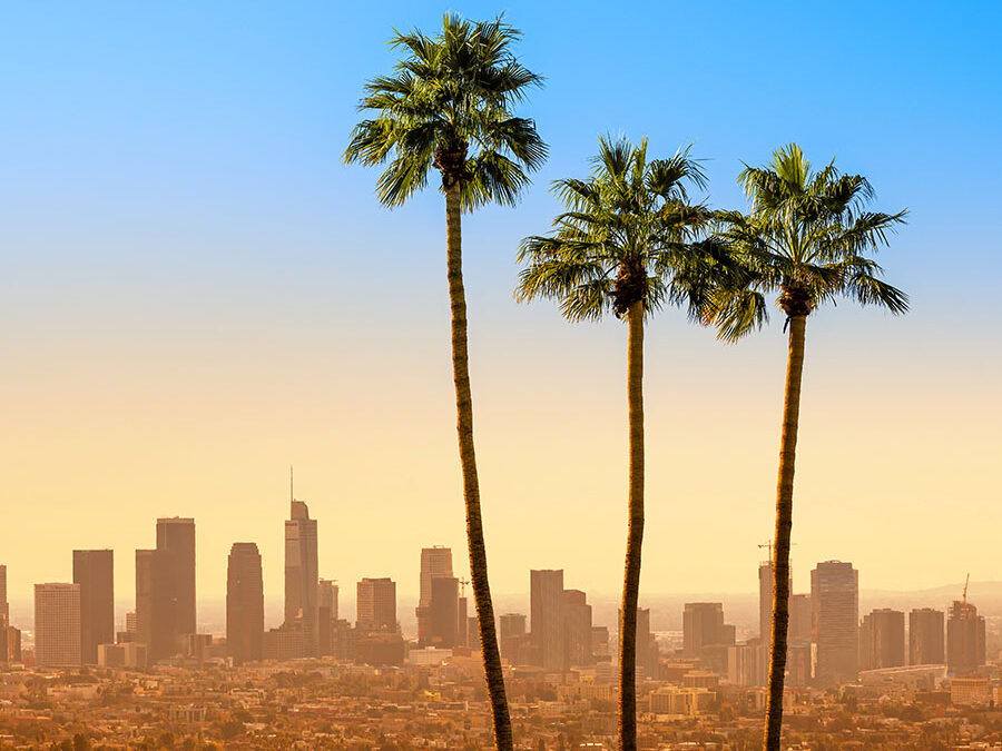 Hollywood Bound! LAX Reservations Open