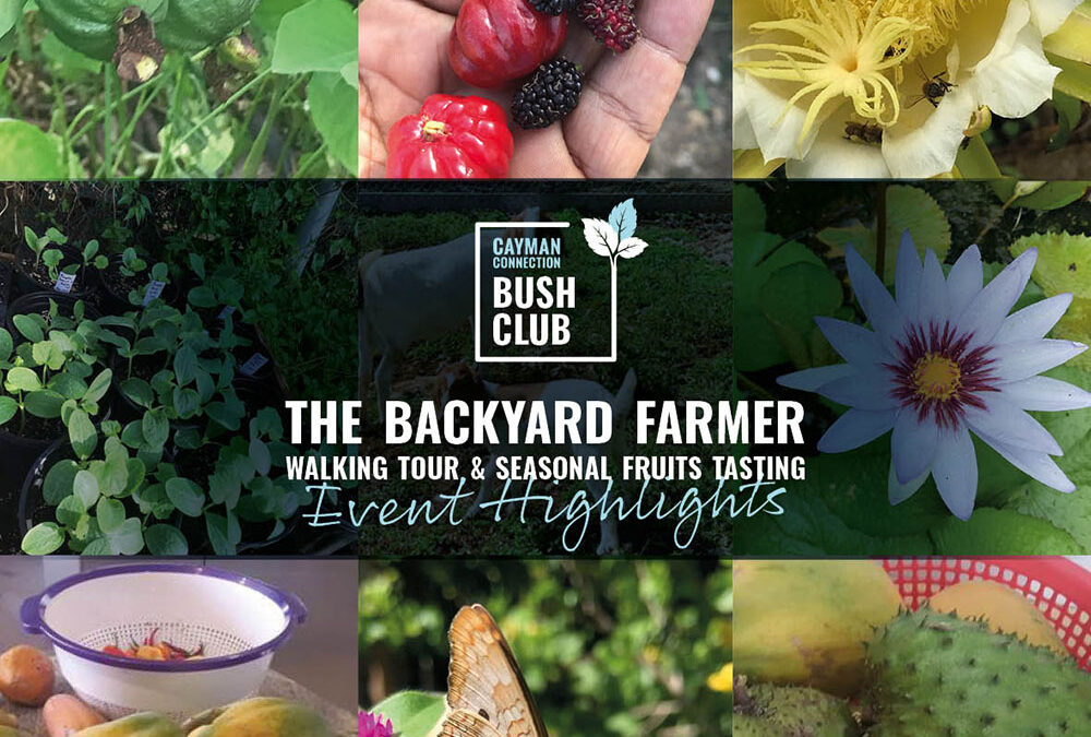 The Backyard Farmer Event Highlights