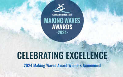 Celebrating Excellence: 2024 Making Waves Award Winners Announced